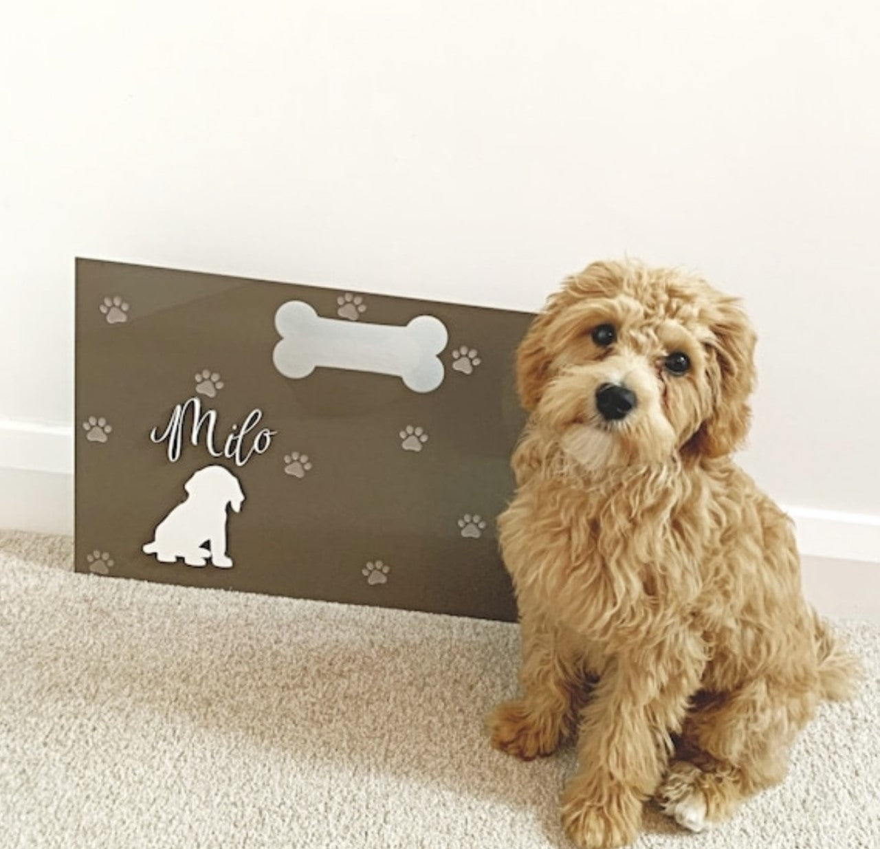 Pet Gate Stopper
